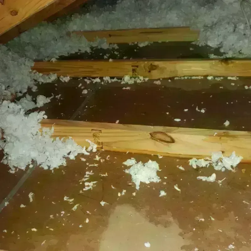 Attic Water Damage in Harrison, WI