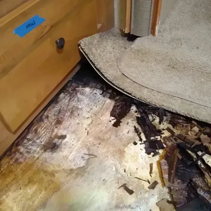 Wood Floor Water Damage in Harrison, WI